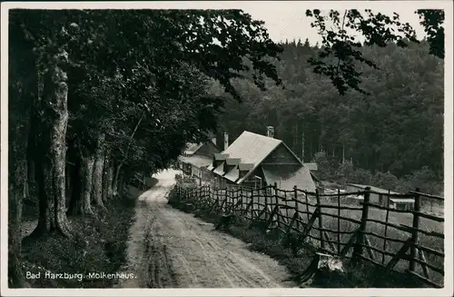 Ansichtskarte Bad Harzburg Ansicht, Molkenhaus 1930