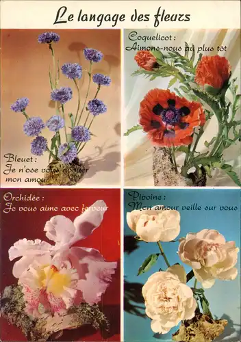 Le langage des fleurs/Pflanzen Sprache mit 4 verschiednen Blumen Arten 1970