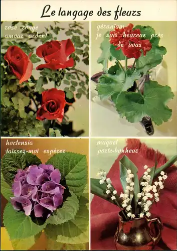 Le langage des fleurs/Blumen Sprache, 4 Ansichten und deren Bedeutung 1975