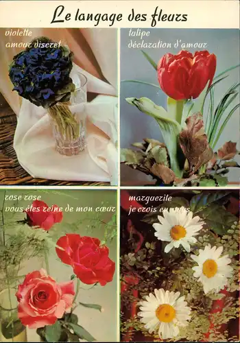 Le langage des fleurs/Blumen-Pflanzen-Sprache, Blumen mit deren Bedeutung 1970