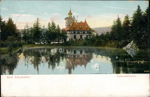 Bad Salzbrunn Szczawno-Zdrój Kurpark, Schwedenteich, Bad Salzbrunn 1908