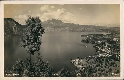Ansichtskarte Weggis Panorama-Ansicht Fernblick Alpen mit Pilatus 1932