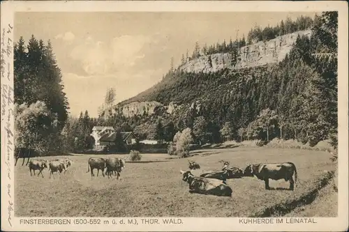 Ansichtskarte Finsterbergen-Friedrichroda Kuh Herde im Leinatal 1931