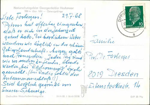 Zinnwald-Georgenfeld-Altenberg (Erzgebirge) Georgenfelder Hochmoor  968