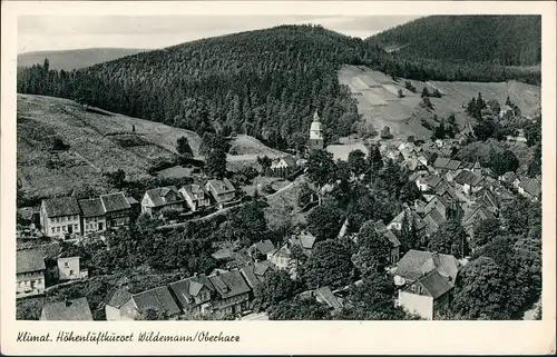 Wildemann (Innerstetal) Panorama-Ansicht mit Dorfkern, Oberharz Postkarte 1957
