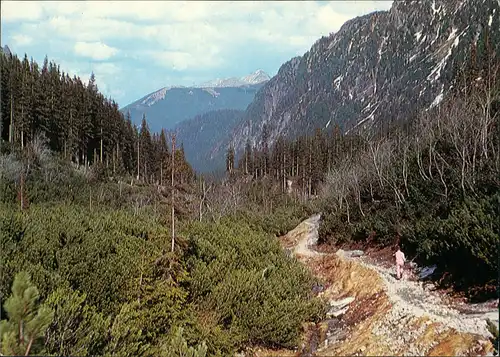 Postcard Zakopane Hohe Tatra Tatry Wysokie (Polen) Landschaftsbild 1975