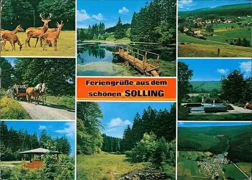 Neuhaus im Solling-Holzminden Feriengrüsse aus dem SOLLING Mittelgebirgs-Region Deutschland 1974   gelaufen mit Stempel HOLZMINDEN
