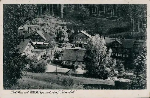 Postcard Wölfelsgrund Międzygórze Am Weiss-Eck 1934