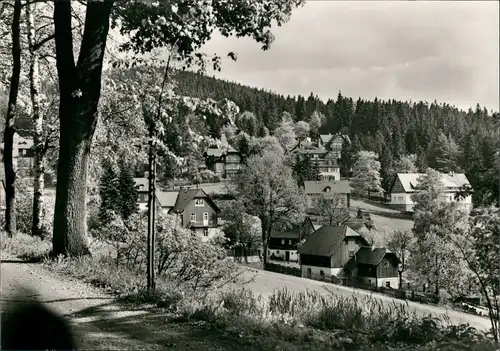 Ansichtskarte Bärenfels (Erzgebirge)-Altenberg (Erzgebirge) Stadtpartie 1979