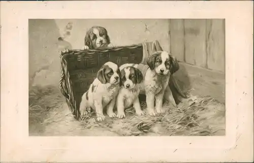 Ansichtskarte  Tiere - Hunde, Künstlerkarte Hunde Welpen 1922