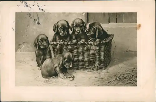 Ansichtskarte  Tiere - Hunde Welpen im Korb Künstlerkarte 1917