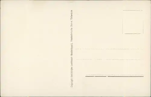 Postkaart Soestdijk-Baarn Luftbild 1930