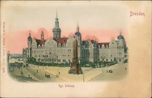 Dresden Partie Dresdner Residenzschloss Königliches Schloss 1900 Prägekarte