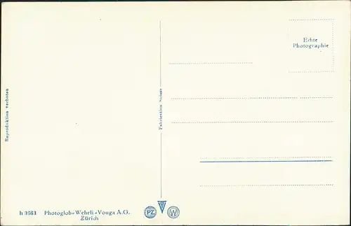 Ansichtskarte Arth SZ Rigi Kulm mit Berner Alpen Kette Panorama 1930