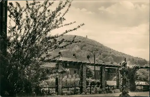 Ansichtskarte Freital DDR Ansicht Siedlung mit Windberg 1958