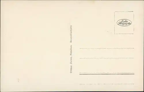 Bad Wiessee Umland-Ansicht Panorama gegen Egern Alpen Berge 1930