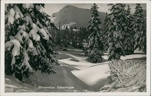Donnersbach Planneralpe Gläserkoppe Landschaft Winter Stimmungsbild 1935