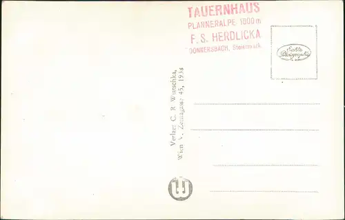 Ansichtskarte Donnersbach Landschaft Alpen Echtfoto-AK Wiatschka 1940/1938