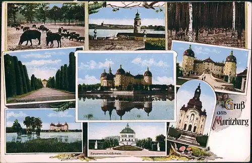 Ansichtskarte Moritzburg Gruss aus Schloß Mehrbild Gruss aus 1912