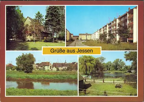 Jessen Kinderkurheim, Straße der Freundschaft, Teilansicht, Tierpark 1984