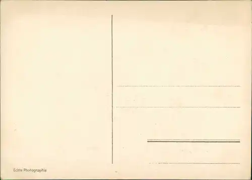 Ansichtskarte Friedrichshafen Blick von der Schloßterrasse 1931