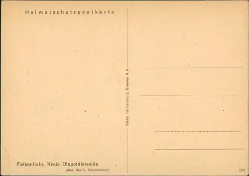 Falkenhain (Erzgebirge) Panorama-Ansicht Heimatschut-Postkarte 1950