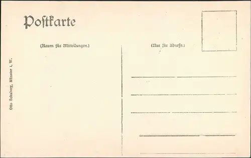 Ansichtskarte Münster (Westfalen) Domportal 1911