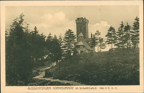 Ansichtskarte .Baden-Württemberg Hornisgrinde (Berg) Turm 1922