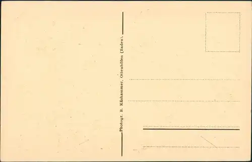 Ansichtskarte .Baden-Württemberg Hornisgrinde (Berg) Turm 1922