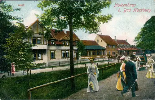 Ansichtskarte Bad Harzburg Molkenhaus, Frauen - Kutsche 1911