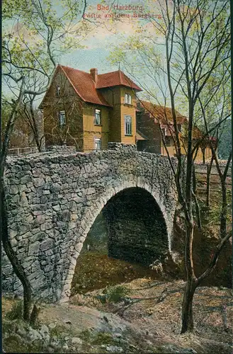 Ansichtskarte Bad Harzburg Burgberg Partie Haus 1911