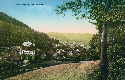 Ansichtskarte Bad Harzburg Das Krodotal 1912