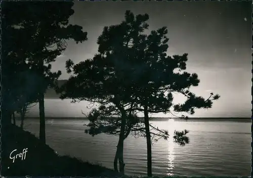 CPA Arcachon Arcaishon Le bassin d'Arcachon au soleil couchant 1950
