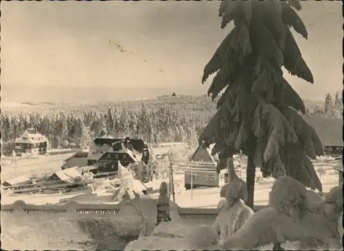 Bärenburg-Altenberg (Erzgebirge) Winter-Ansichtskarte Stimmungsbild  1965