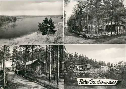 Ansichtskarte .Sachsen-Anhalt DDR Mehrbild-AK Dübener Heide (Roter See) 1968