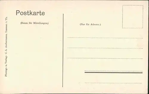 Ansichtskarte Ilmenau Partie am Scheffeldenkmal 1913