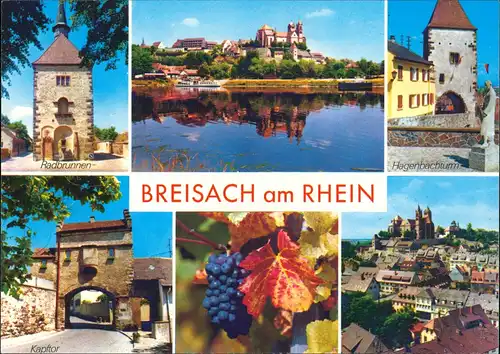 Ansichtskarte Breisach (Rhein) Mehrbild-AK ua. Radbrunnen, Kapftor uvm. 1980