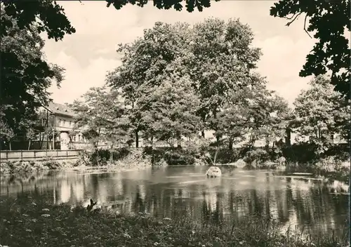 Ansichtskarte Blankenhain Partie am Fischteich DDR Postkarte 1974/1969