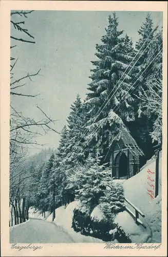 Kipsdorf-Altenberg (Erzgebirge) Winter im Erzgebirge Station 1928