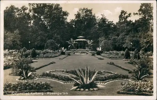 Postcard Kolberg Kołobrzeg Rosengarten 1934