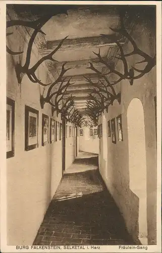 Pansfelde-Falkenstein/Harz Burg Falkenstein Fräulein-Ganz mit Jagd-Trophaen 1920