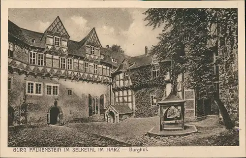 Pansfelde-Falkenstein/Harz Burg Falkenstein Harz Selketal, Burg Hof Ansicht 1910