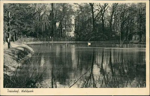 Ansichtskarte Troisdorf Partie im Waldpark 1951