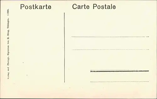 Ansichtskarte Tübingen Neckarbad 1913