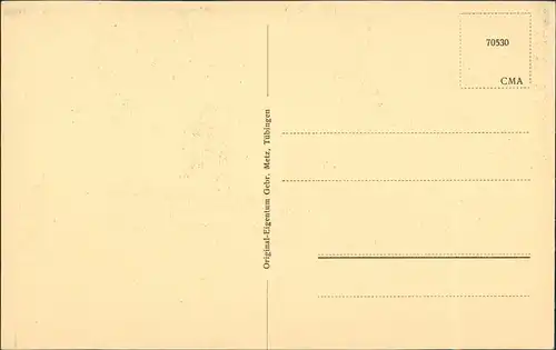 Ansichtskarte Tübingen NECKARANSICHT MIT HÖLDERLINSTURM U. ALTER AULA 1918