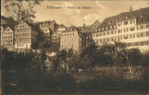 Ansichtskarte Tübingen Partie am Neckar 1913