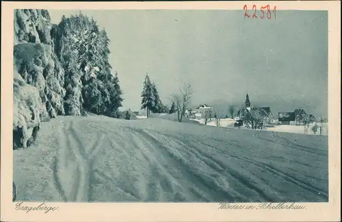 Ansichtskarte Schellerhau-Altenberg (Erzgebirge) Winter im Erzgebirge 1928