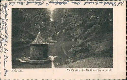Ansichtskarte Apolda Goldfischteich Schötener Promenade 1928