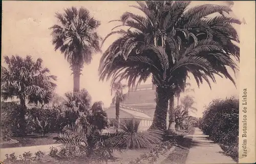 Postcard Lissabon Jardin Botanico 1909