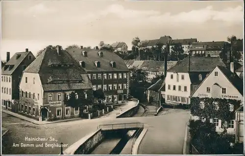 Ansichtskarte Hainichen Am Damm und Berghäuser 1928